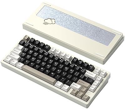 2024.8.8 再構成レビュー】WOBKEY「Rainy75」極上の打鍵体験を楽しめる 