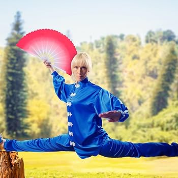 Martial Arts Festival photo