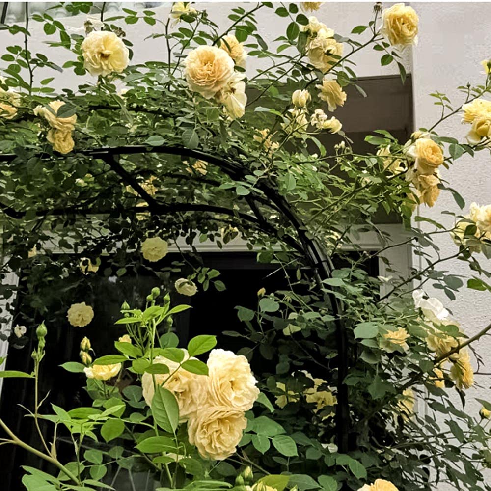Mezzo arco da giardino con struttura in metallo, 2,4 m, pergolato da esterno per rose viti, supporto resistente alle intemperie per piante rampicanti, grande pergolato da patio per cortile, prato,