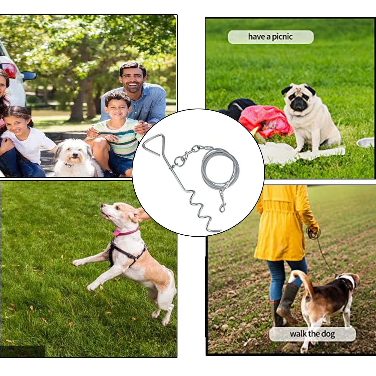 Colexy Anlegespirale Anlegepflock mit Hundeleine, 15 Zoll Anlegepflöcke für Hunde mit 3M Tie-Out Leinen, Edelstahl Bodenanker für Hof und Camping, Silber, für Kleine Bis Mittlere Hunde