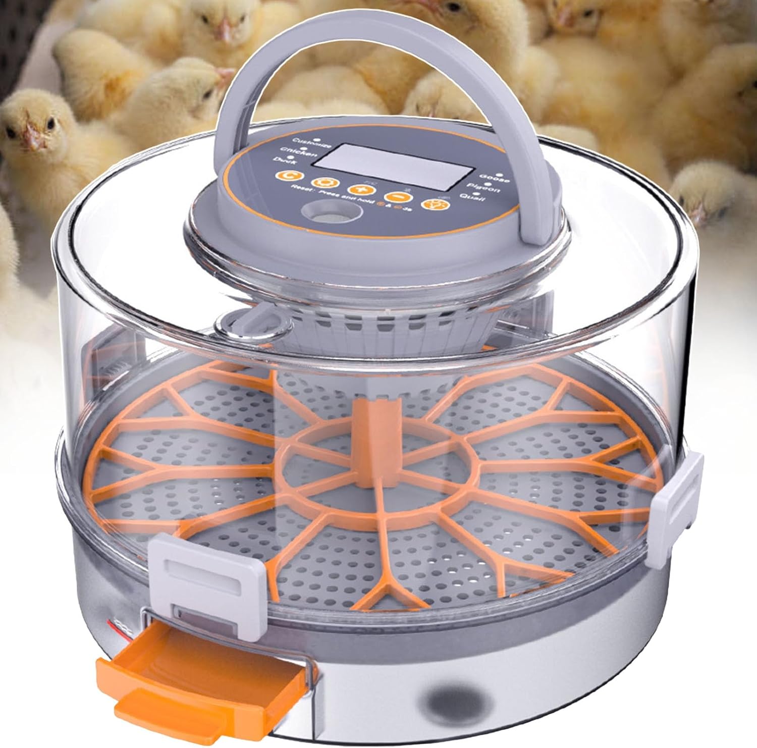 Automatic Egg Incubator for Hatching 12 Eggs - LED Egg Candler, Automatic Turning for Chicken, Duck, Goose, Quail, Parrot - Ideal for Home Use