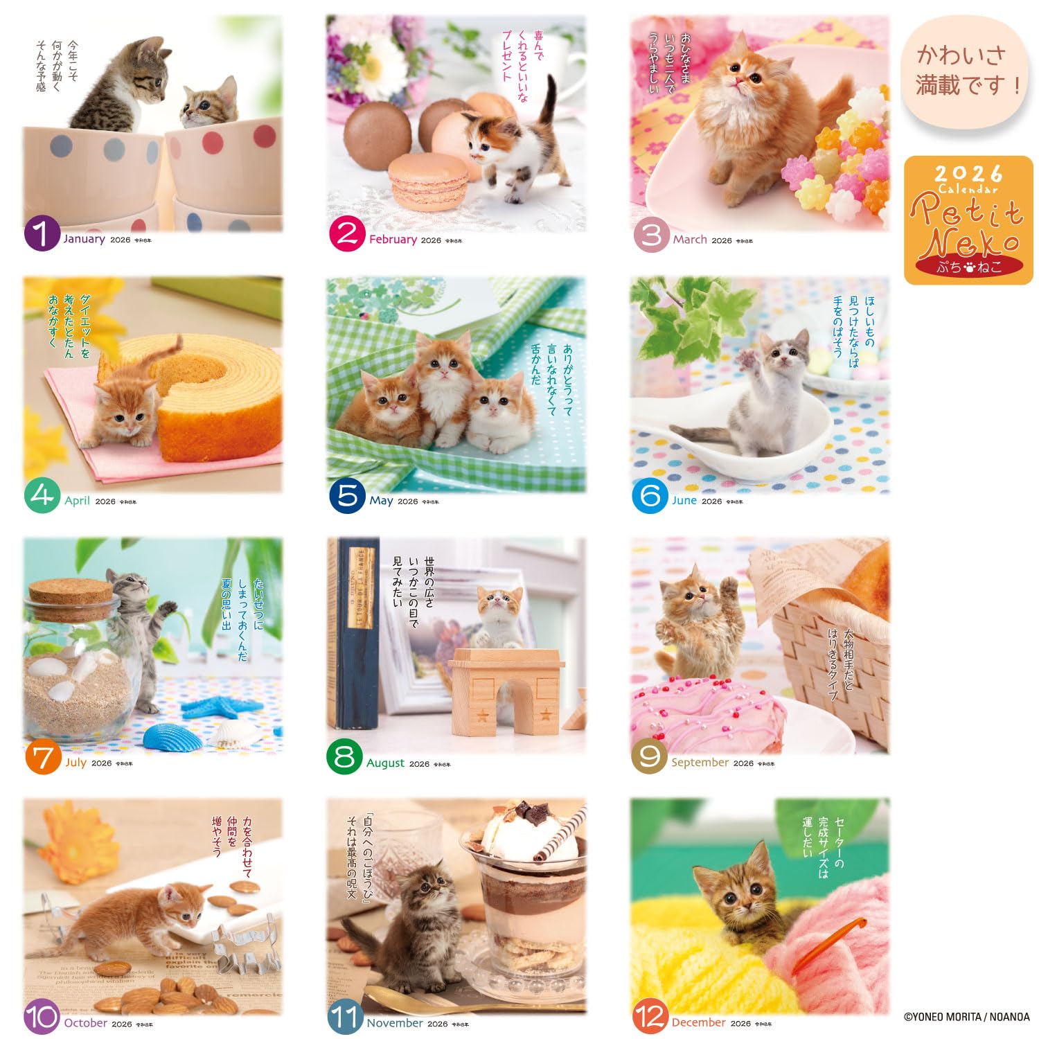 Amazon | アクティブコーポレーション 2026 カレンダー 卓上 ぷちねこ
