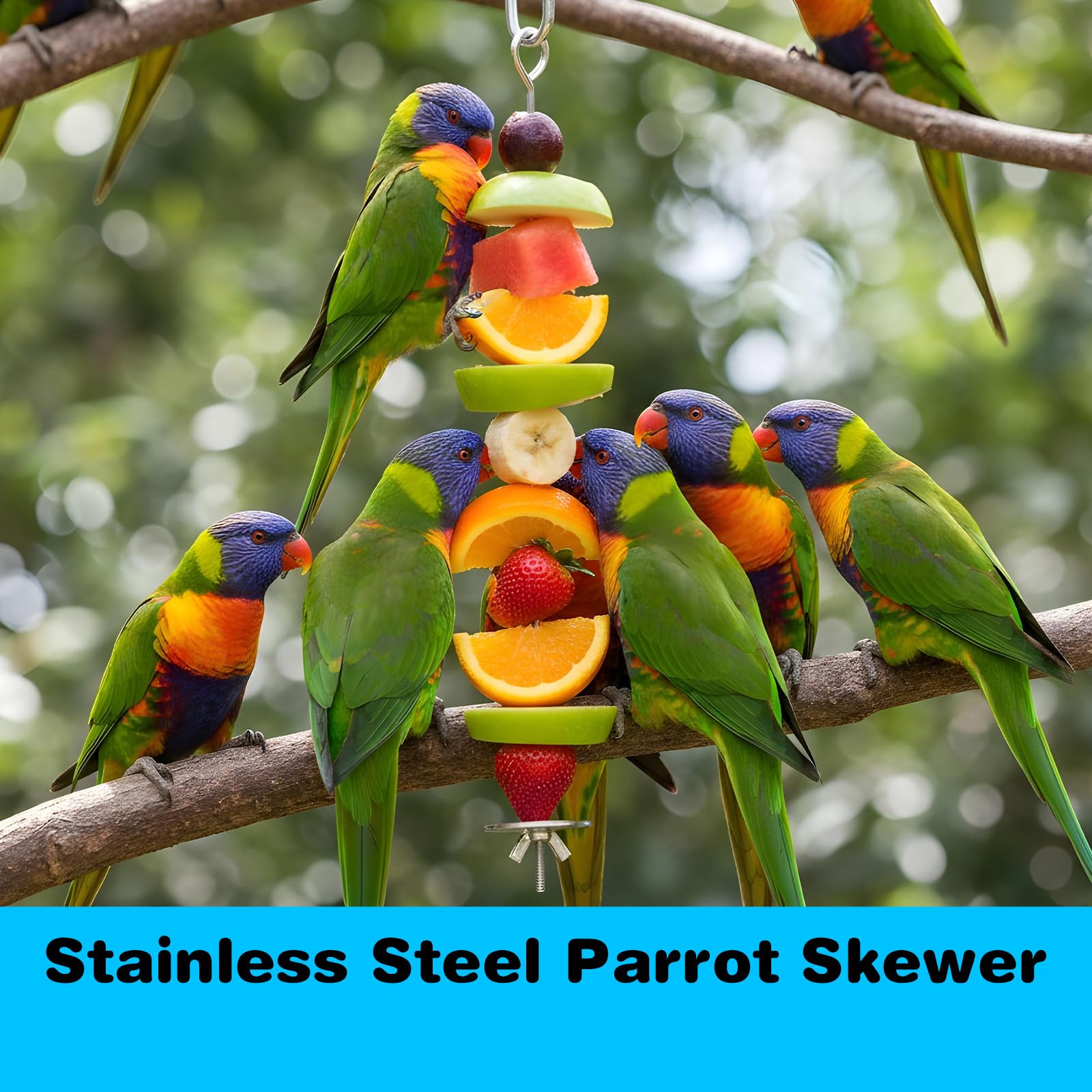 3 Pack Bird Cage Food Holder, Rat Foraging Toys, Stainless Steel Parrot Fruit & Vegetable Skewer Hanging Foraging Toy for Parakeets, Budgies, Macaws - image 7
