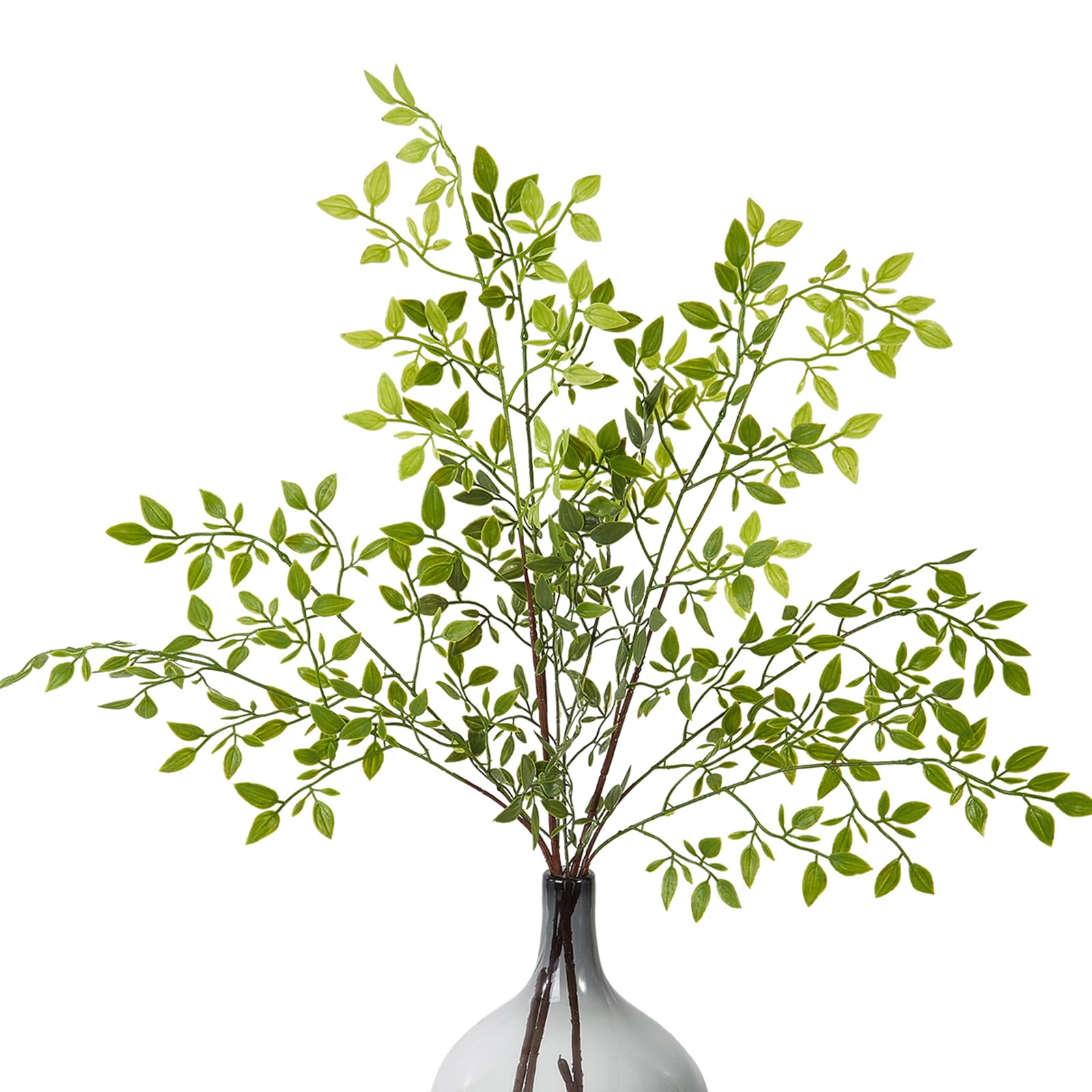product_img5
