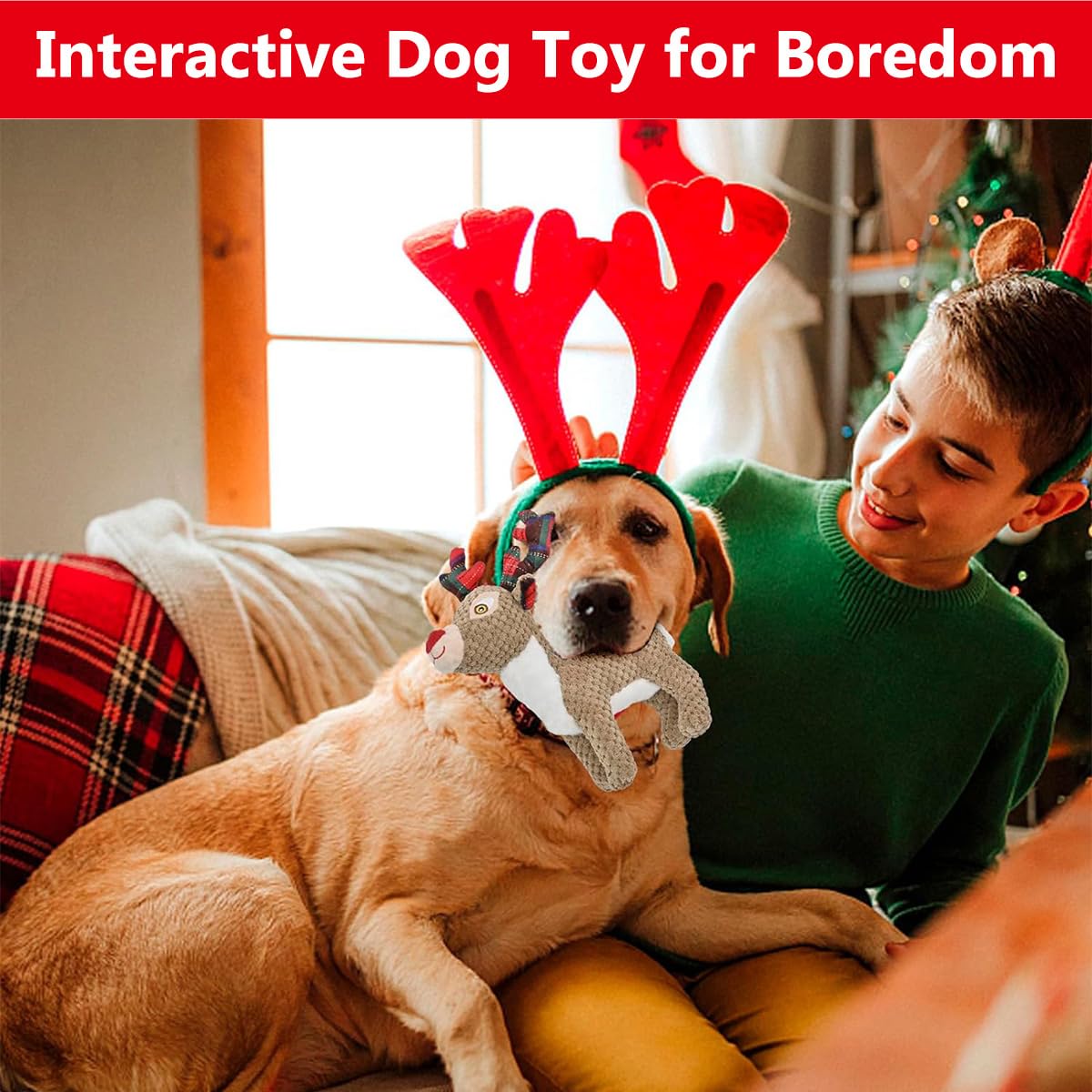 Jouet Chien Interactif, Couineur Jouets à Mâcher, Chien Accessoires