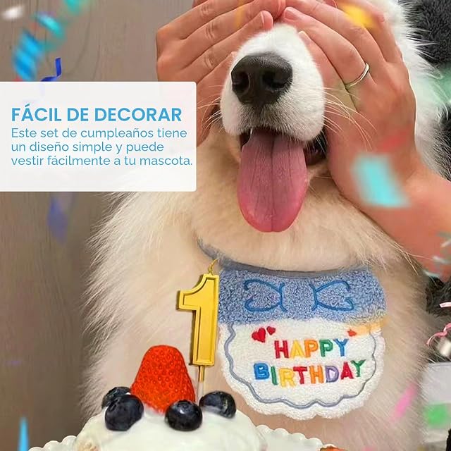 Foto 5 de 6 de Juego de 3 piezas para mascotas, baberos, sombrero de cumpleaños y gafas