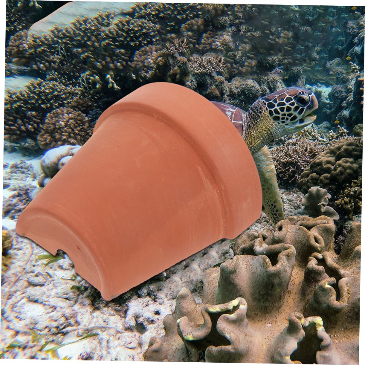 SUPVOX 3sets Bearded Dragon Hideout Turtle Basking Platform Reptile Cave Decor Turtle Tank Accessory Reptile Shelter 2pcs*3