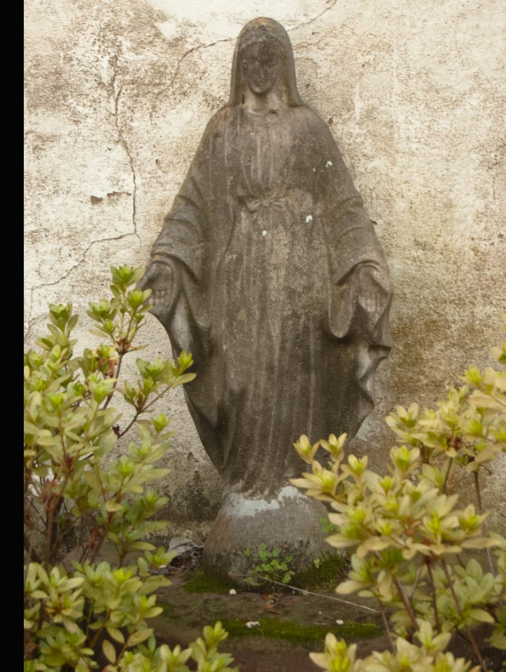 When the Dust Settles: The Suffering and the Silence