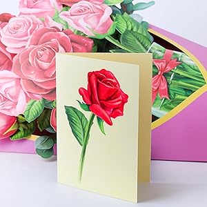 Pop Up Flower Card, 3D Greeting Card Red Rose Bouquet For Wife, Girlfriend Romantic Gift for Anniversary, Valentines Day