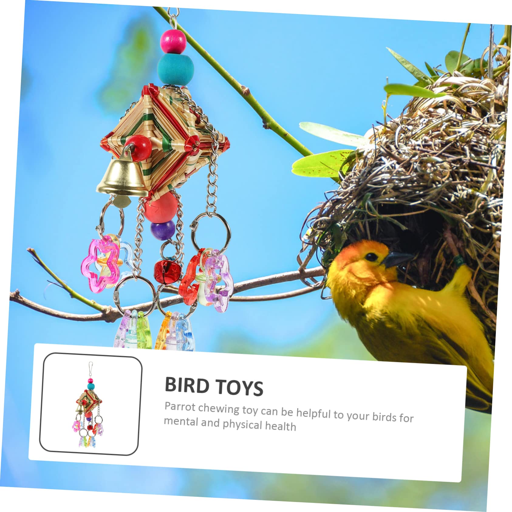 BESPORTBLE 5pièces Jou Mâcher Suspendu pour Perroquet Acrylique Accessoire Amusant pour Oiseaux De Compagnie Jou Grignoter Escalader pour Oiseaux