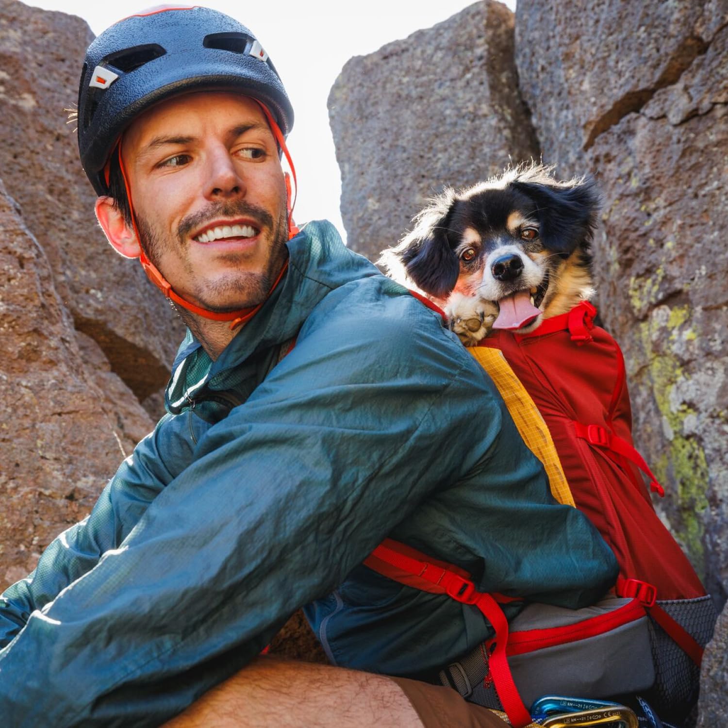 Amazon.co.jp: RUFFWEAR(ラフウェア) ヒッチハイカードッグバック