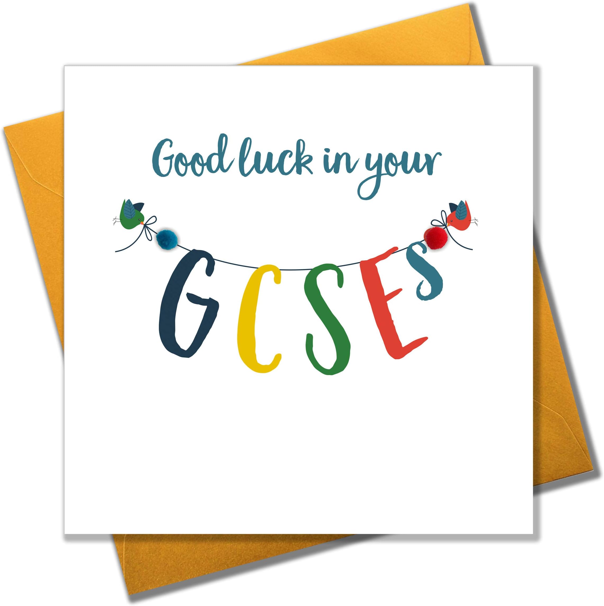 Pom Pom "Good Luck in Your GCSEs" Greeting Card