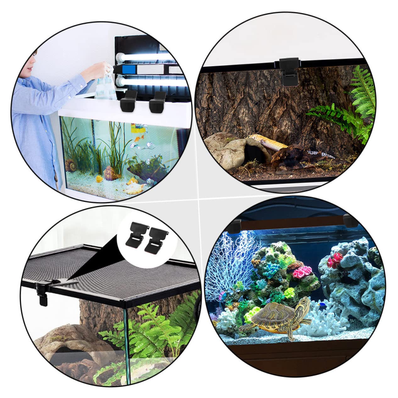 FRCOLOR 6 Sztuk - Blokada Ewakuacyjna Części Do Terrarium Dla Żółwi Zatrzask Zbiornika Dla Gadów Dla Zwierząt Domowych Terrarium Dla Żółwi Dostaw Zatrzask Zbiornika Dla Gadów Szklana