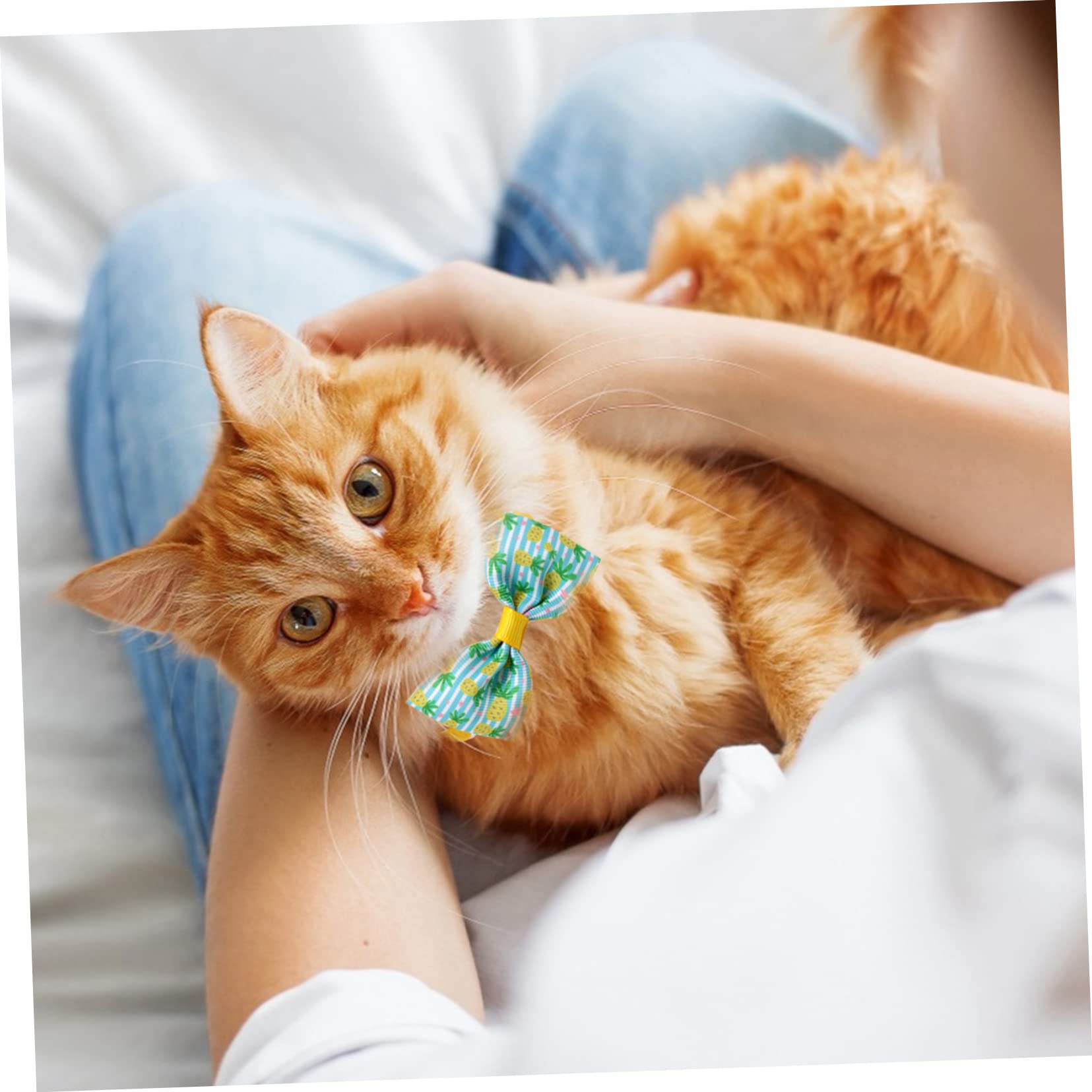 POPETPOP 48 STK Haustier Fliege Katze Bowknot-Halsband Kätzchen Fliege Süßer Schleifenkragen Halsschleifen Für Hunde Haustierhalsbänder Baby Kleine Tiere Gerippter Gürtel Mädchen