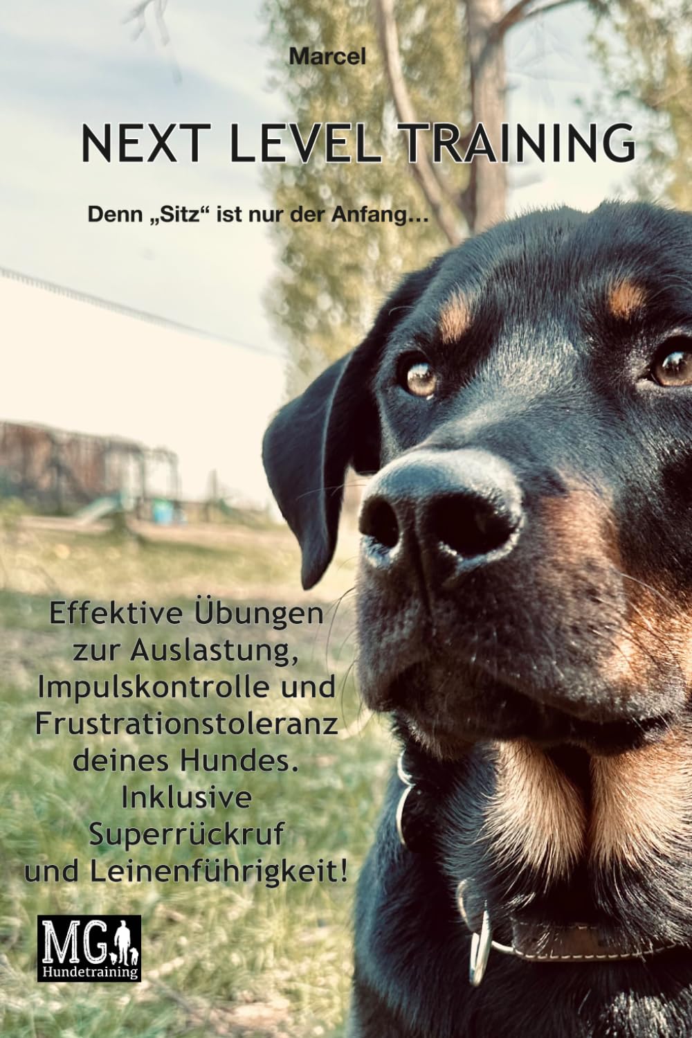 NEXT LEVEL TRAINING: Denn „Sitz“ ist nur der Anfang…