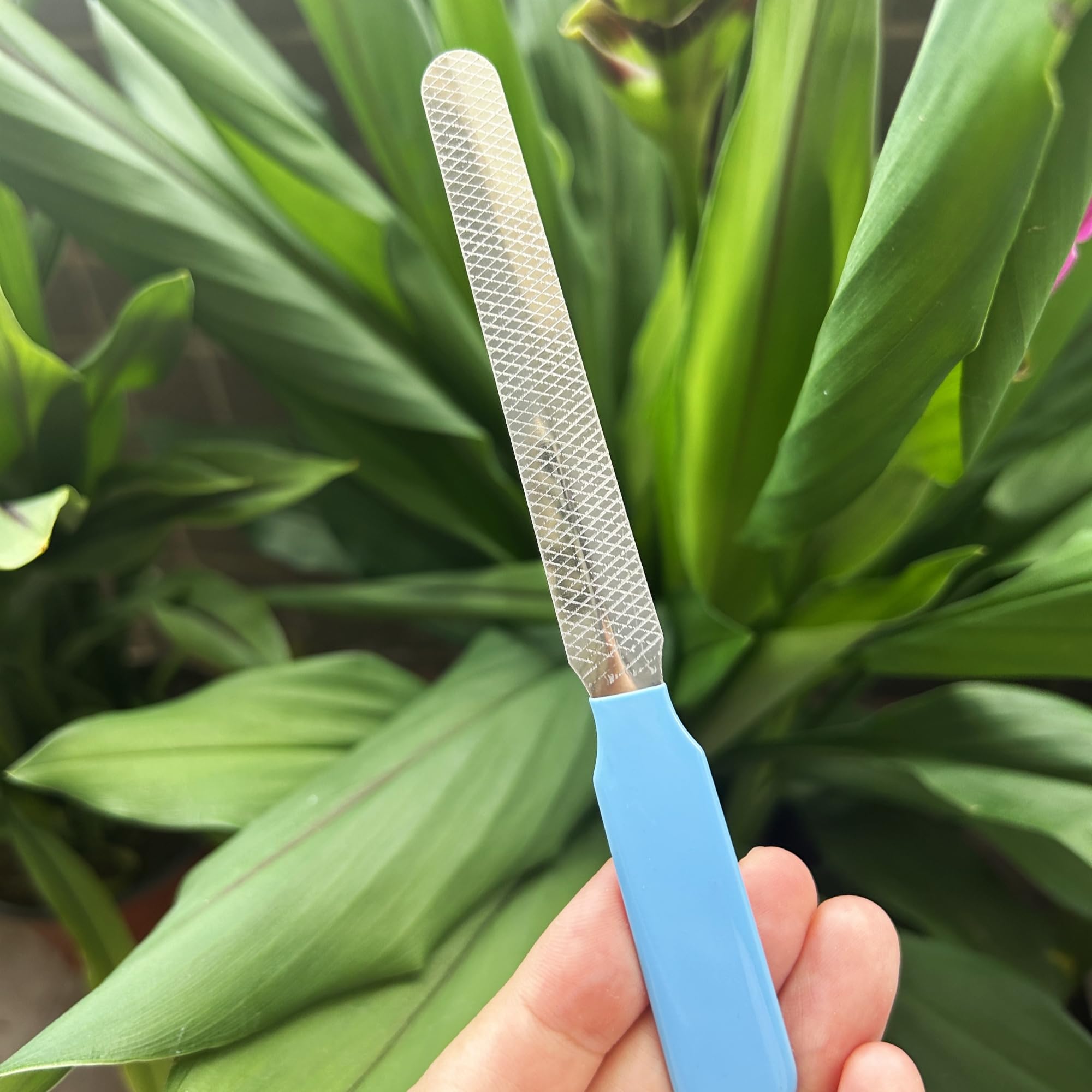 Manekieko Professional Dog and Cat Claw Care with Nail File, Safety Mechanism, Pet Stainless Steel Claw Pliers, Blue - Image 4