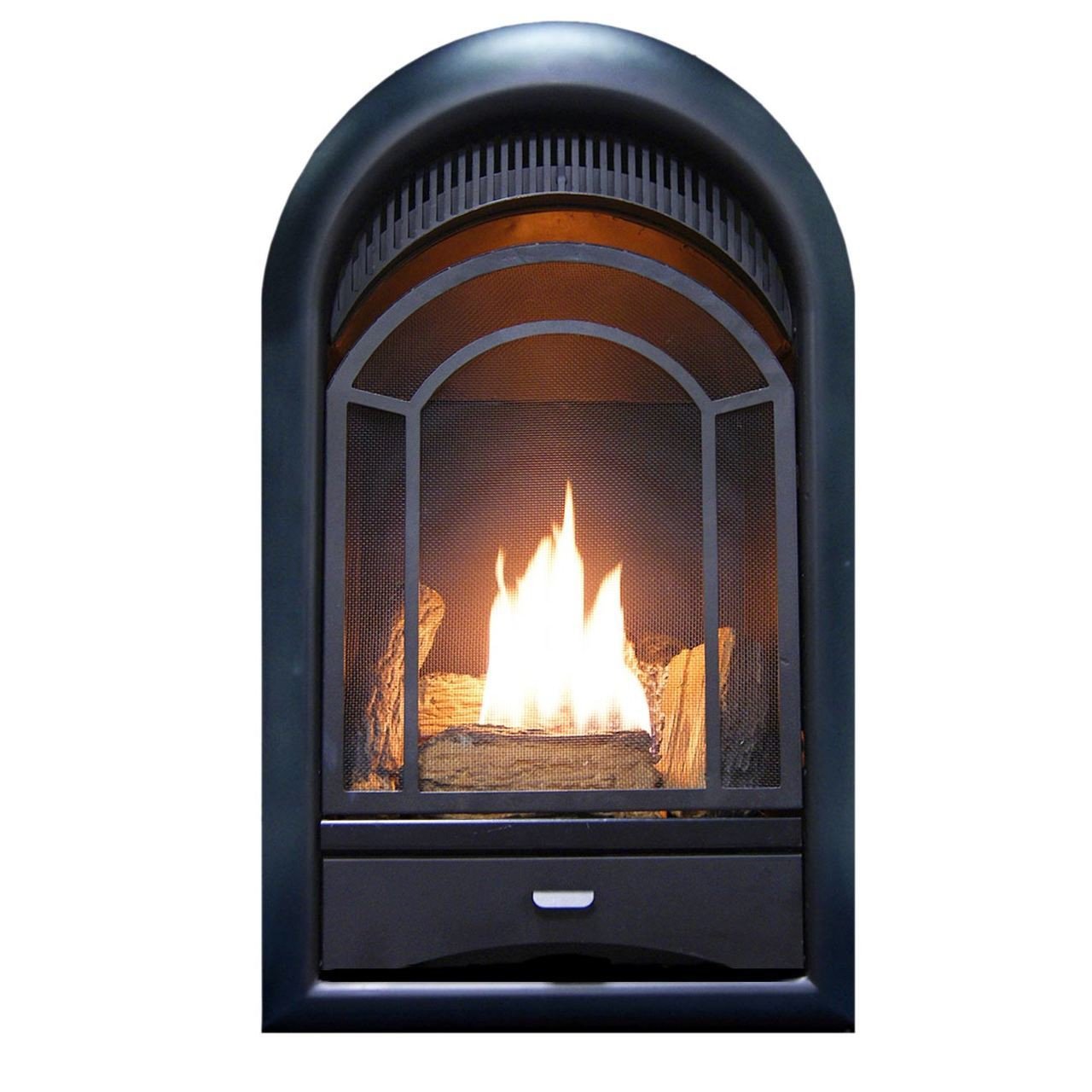 ProCom Dual Fuel Ventless Gas Fireplace Insert with Thermostat Control, 4 Fire Logs, Use with Natural Gas or Liquid Propane, 10000 BTU, Heats up to 500 Sq. Ft., Black