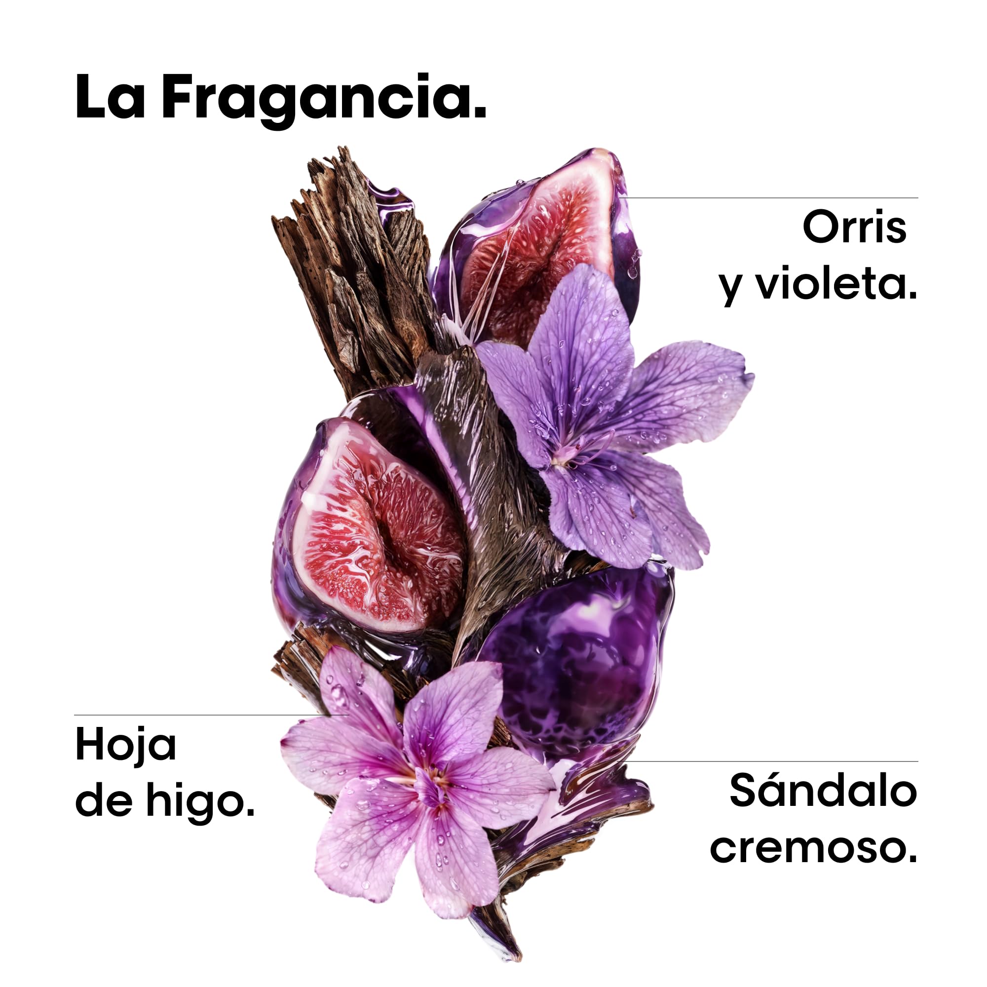 L’Oréal Professionnel, Mascarilla Keratin Alpha Sleek, Anti-Frizz, Control del Encresapamiento y Volumen. Hidrata y Nutre el Cabello, Apto para Todo Tipo de Cabello, 250 ml