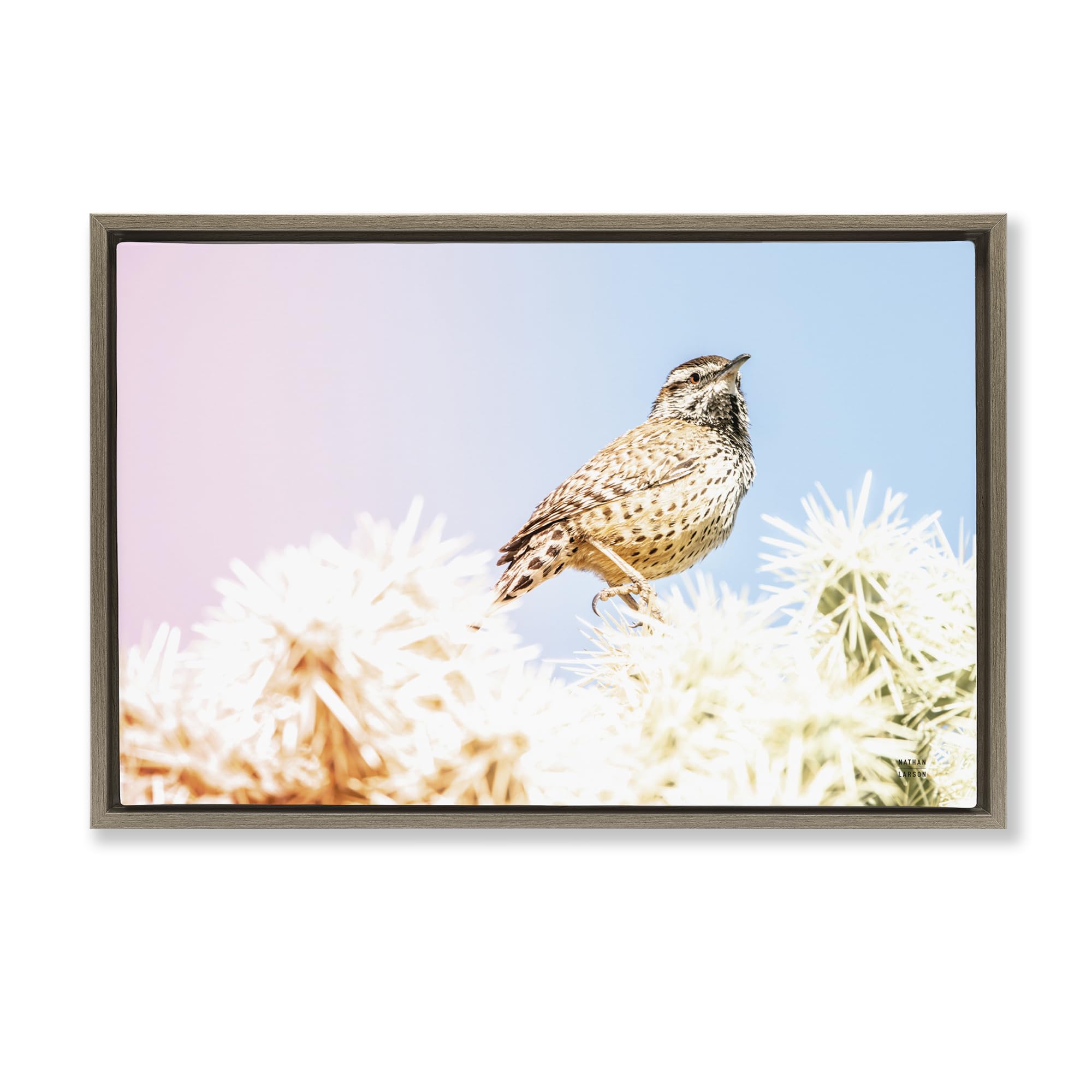 Stupell Industries 'Desert Song Bird', Floating Frame Canvas Art, Brown, 25 x 17