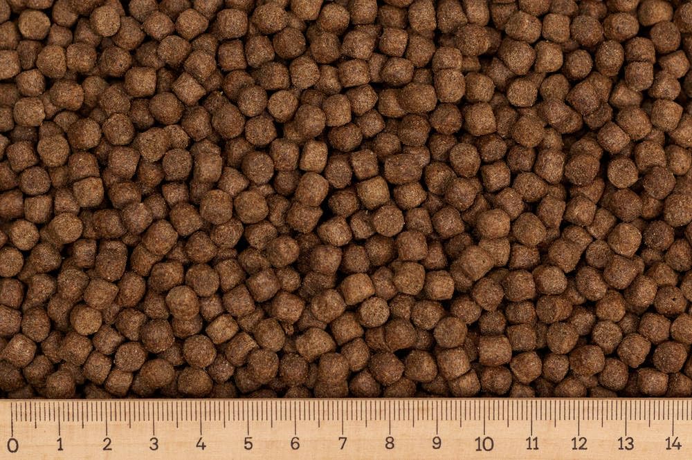 1,92 €/kg - 30 kg Premium Koifutter Basic-OREA 6 mm | schwimmendes Pellet für die ganzjährige Fütterung