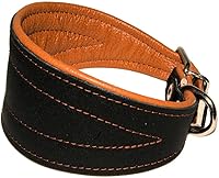Vista 11 de Collar de perro acolchado extra ancho de cuero real, color negro brillante, galgo, saluki, deerhound, lurcher, whippet dachshund
