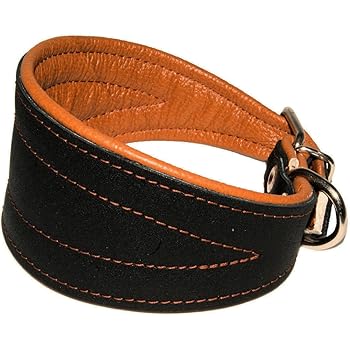 lurcher puppy collar