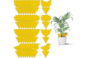 Effective Gnat Traps: Protect Your Houseplants, Eliminate Gnats, Mosquitoes, Thrips