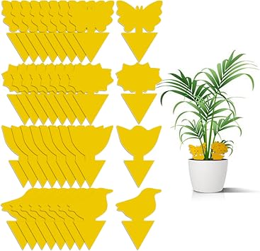 36 Pack Fungus Gnat Traps for House Plants, Yellow Sticky Traps for Indoor Outdoor Use to Get Rid of Whitefly Mosquitoes Fungus Gnats Thrips Leafminer Flying Insects Protect Your Plants
