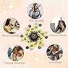 Product Photo 5