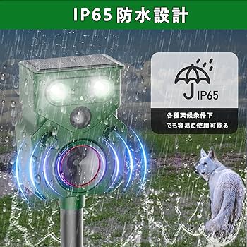 猫 (ホラーセレクション 10) Since the baby arrived, Ten-chan has been acting strange