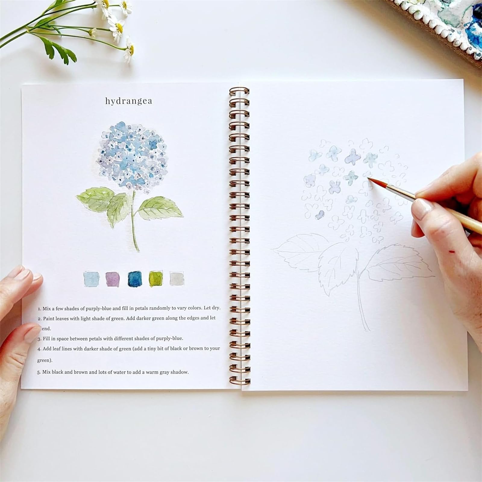 LIUYIDM Aquarell Arbeitsbuch Für Anfänger – Mit 12 Farben & Pinseln, Perfektes Watercolor Workbook Für Kinder & Erwachsene