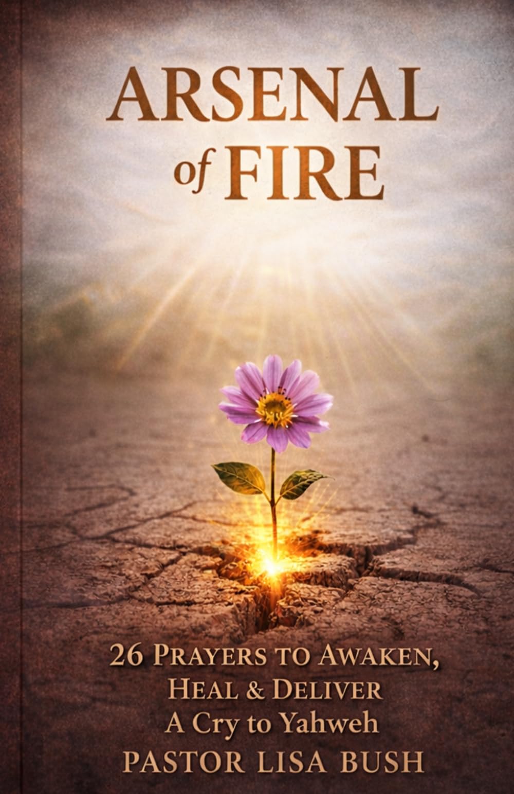 Arsenal Of Fire: 26 Prayers to Awaken, Heal & Deliver