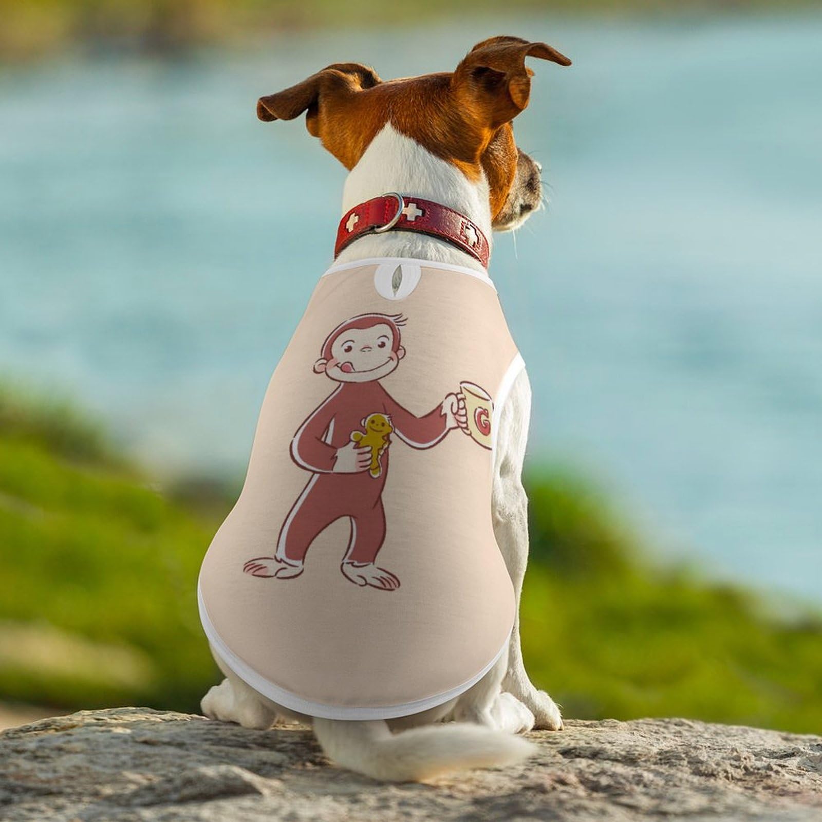 Amazon.co.jp: ペット服 おさるのジョージ 犬服 ペットウェア Tシャツ