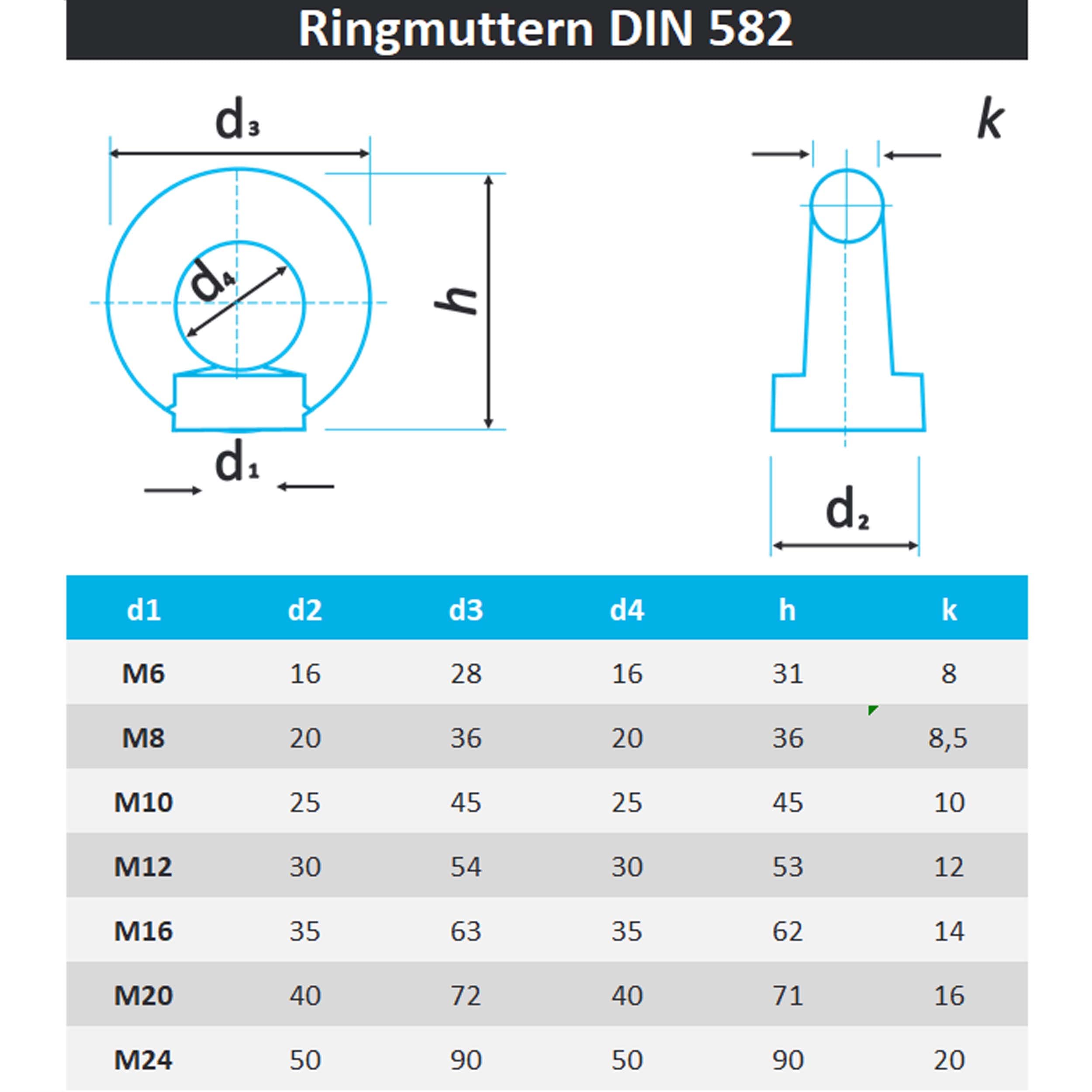 PROTECH 1 Stück Ringmutter M10 Edelstahl A2 V2A | Polierte Ösenmutter (gegossen, ~DIN 582) | Augenmutter rostfrei mit Innengewinde