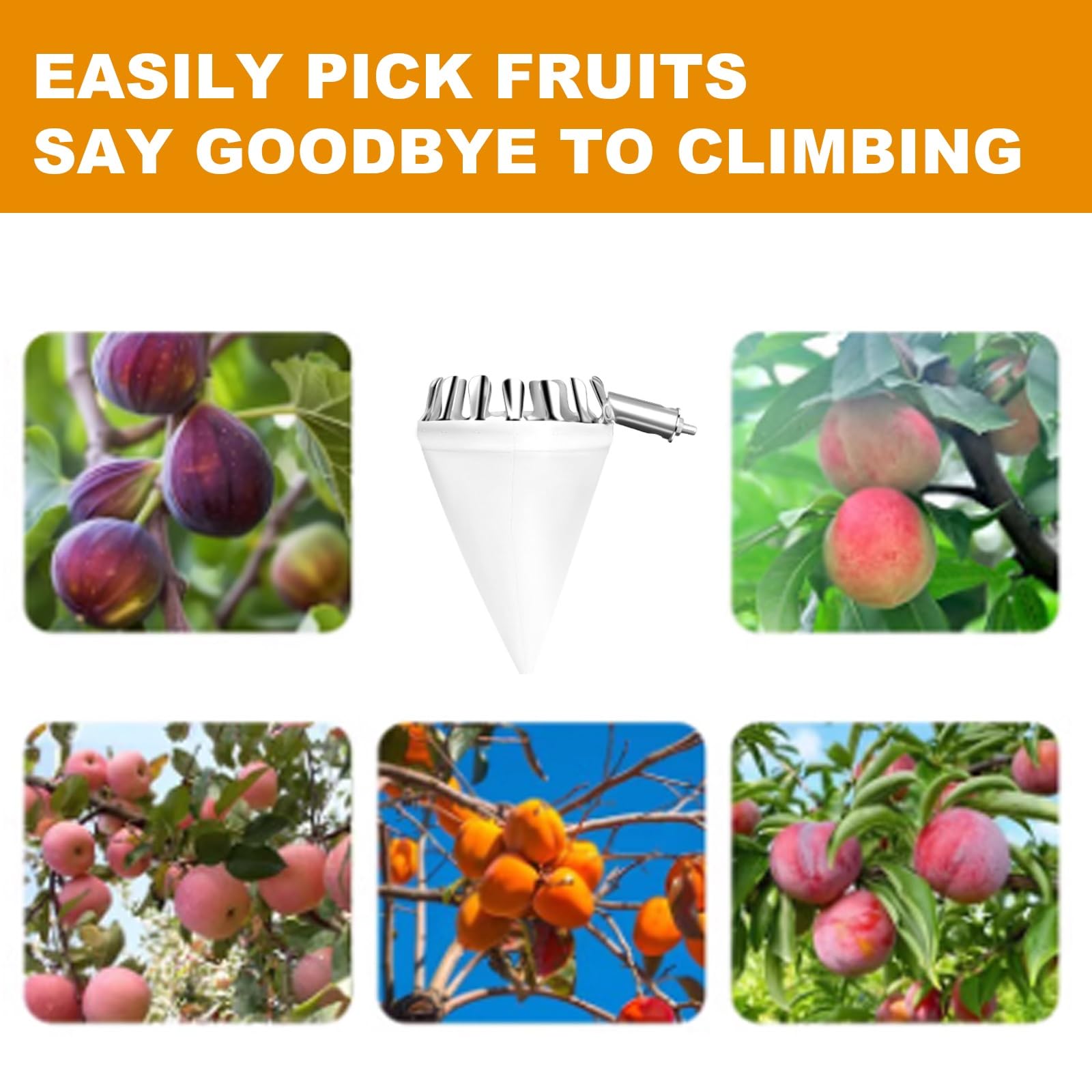 raccoglifrutta, Raccoglitore di pere con Sacco in Tessuto, Asta raccoglifrutta in Acciaio Inox, Estensibile, for Albicocche e(2.5m)