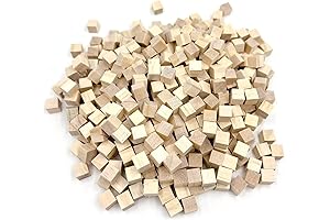 300-Piece Bulk Wood Blocks