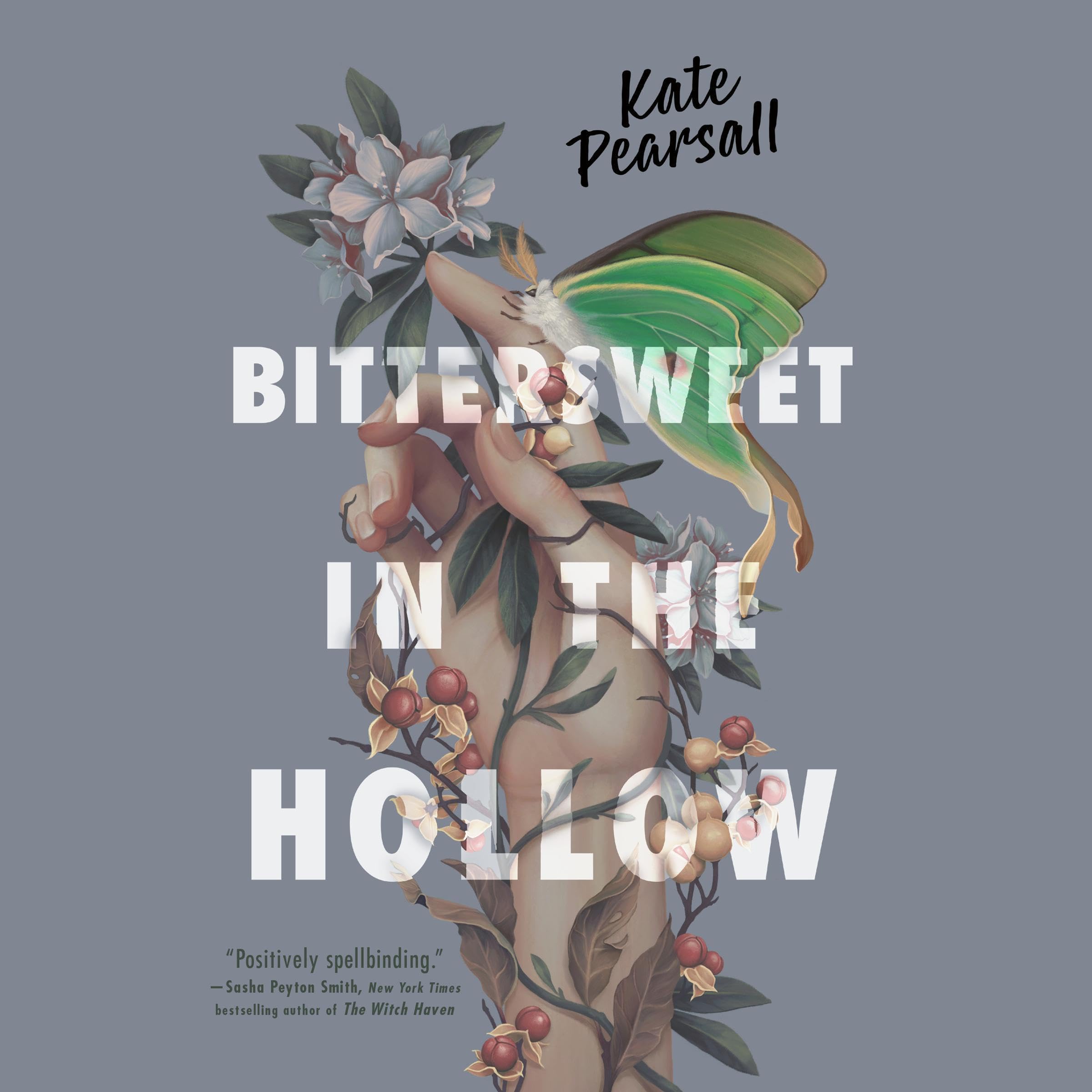 Cover art for Bittersweet in the Hollow