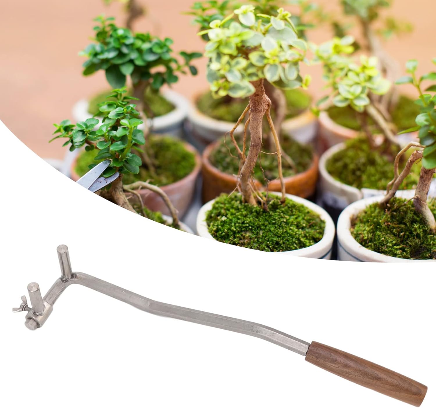 Bonsai Branch Bending Tool Professional High Accuracy Stainless Steel Bonsai Branch Bender for Courtyard Garden Plant Gardening Care (M12)