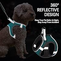 Vista 5 de LOCYFENS Arnés para perro pequeño, arnés para cachorro, correa ajustable y collar para perros pequeños, arnés de chaleco para perro, arnés suave