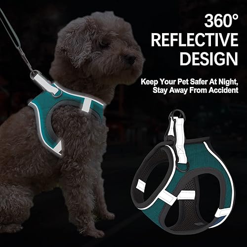 Miniatura 5 de LOCYFENS Arnés para perro pequeño, arnés para cachorro, correa ajustable y collar para perros pequeños, arnés de chaleco para perro, arnés suave