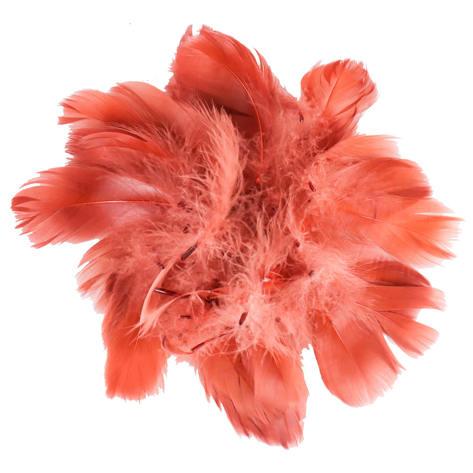 HaiMay 450 Pcs Brown Craft Feathers – Natural Feathers For DIY, Wedding, Home Decor - View #7