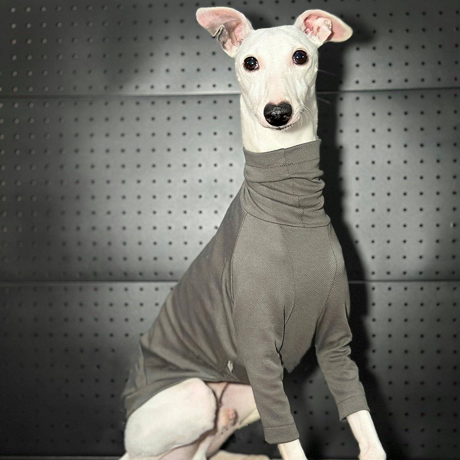 Camiseta de Galgo Italiano de Primavera y Verano, Ropa para Perros Whippet súper Fresca, Mono para Cachorros, Jersey elástico Ligero para Perros pequeños, medianos y Grandes