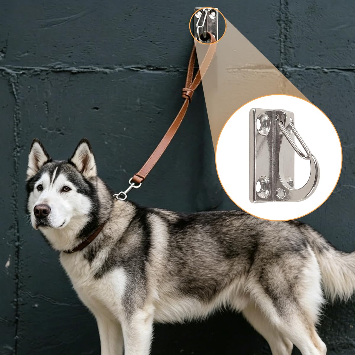 Riven Crochet mural pour corde pour chien Crochet en acier inoxydable pour attacher les laisses de chien Accessoire sûr pour l'entraînement dans le jardin, sur la terrasse, sur la véranda