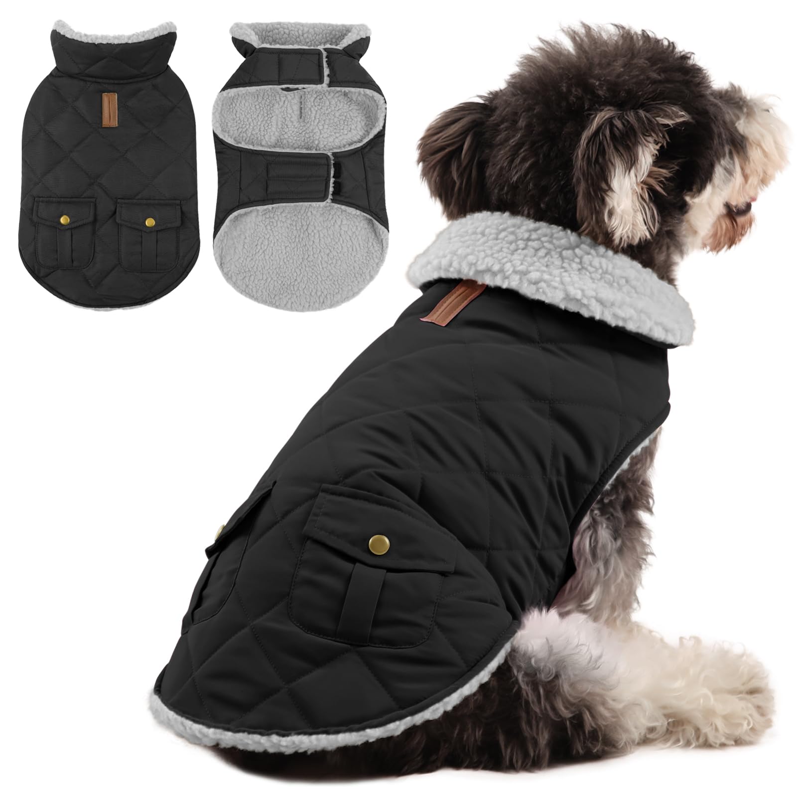 Queenmore Cappotto Cane Piccolo Caldo Impermeabile Per Chihuahua, Maltese, Bassotto, Bulldog Francese, Nero, S