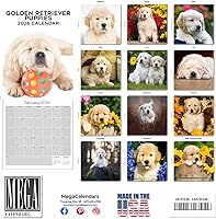 Vista 240 de Razas de Perros 2017