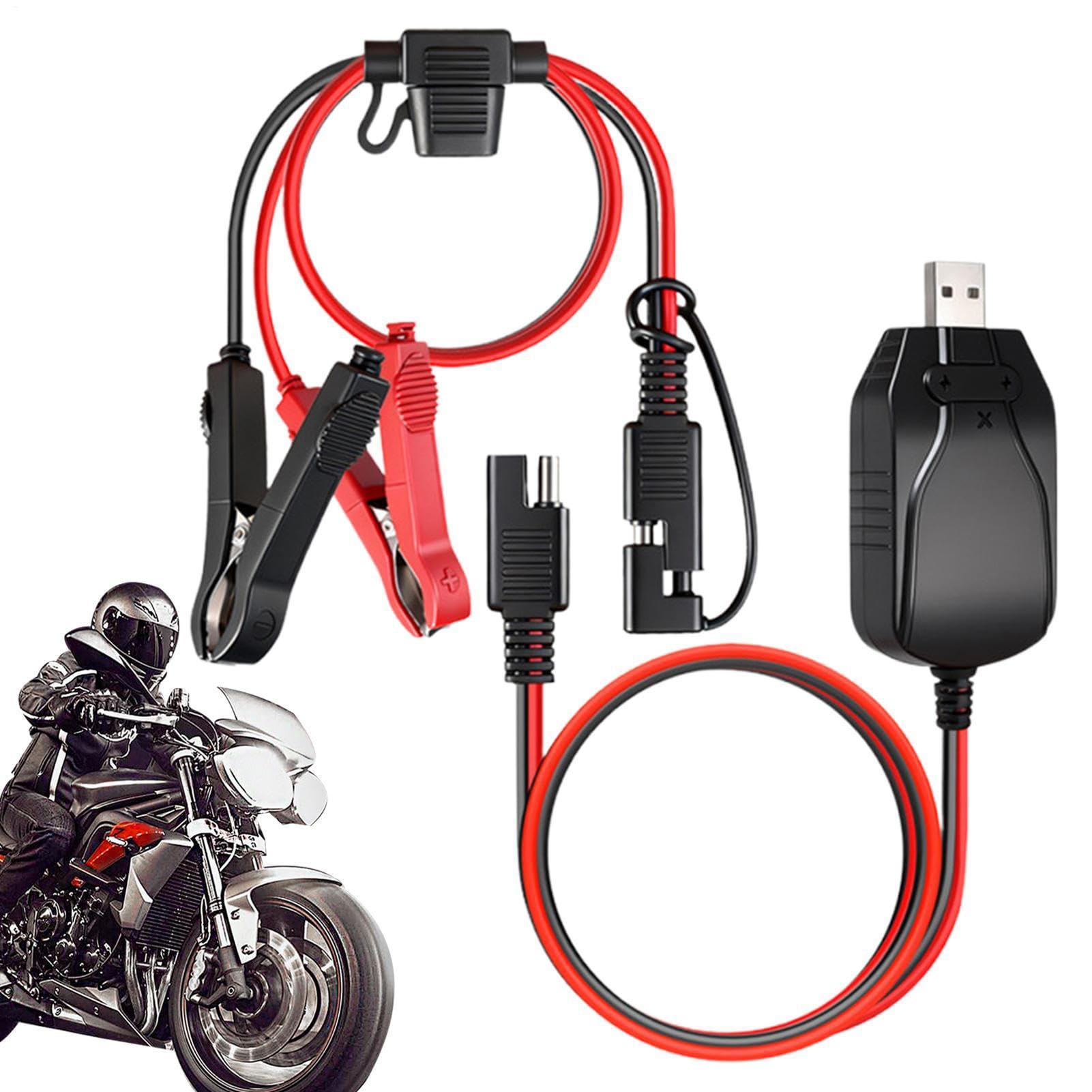 Chargeur de batterie de moto 12 V portable intelligent