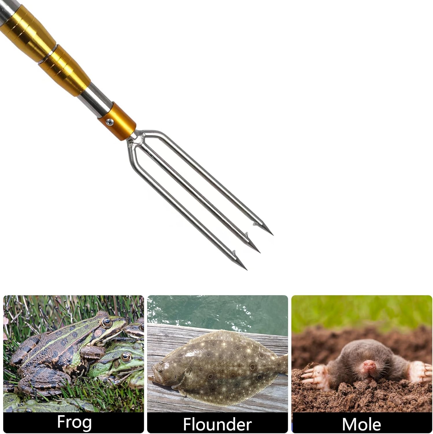 Fish Gaff 6.2ft Telescopic Rods with 3-Teeth, Stainless Steel Fishing Gig Gaff Hook with 8mm Screw,1 to 7 Teeth Assorted harpoons Barbed,Sea and Ice Fishing Spear for Hunting Fish Frog