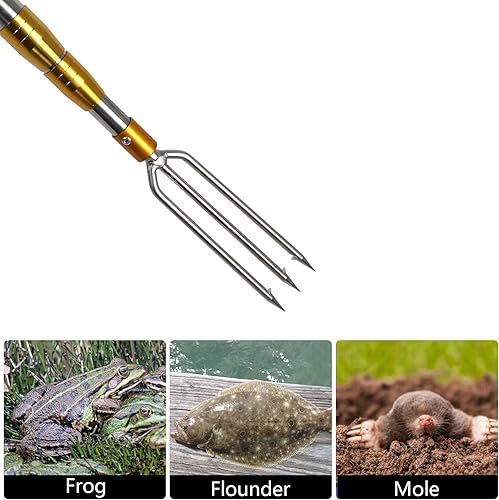 Miniatura 2 de Fish Gaff - Cañas telescópicas de 6.2 pies con 1 a 3 dientes, lanza de pesca de mar y hielo, arpones de dientes invertidos de acero inoxidable,