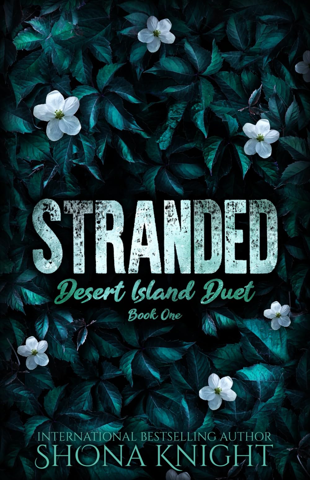 Stranded: 1 (Desert Island Duet)