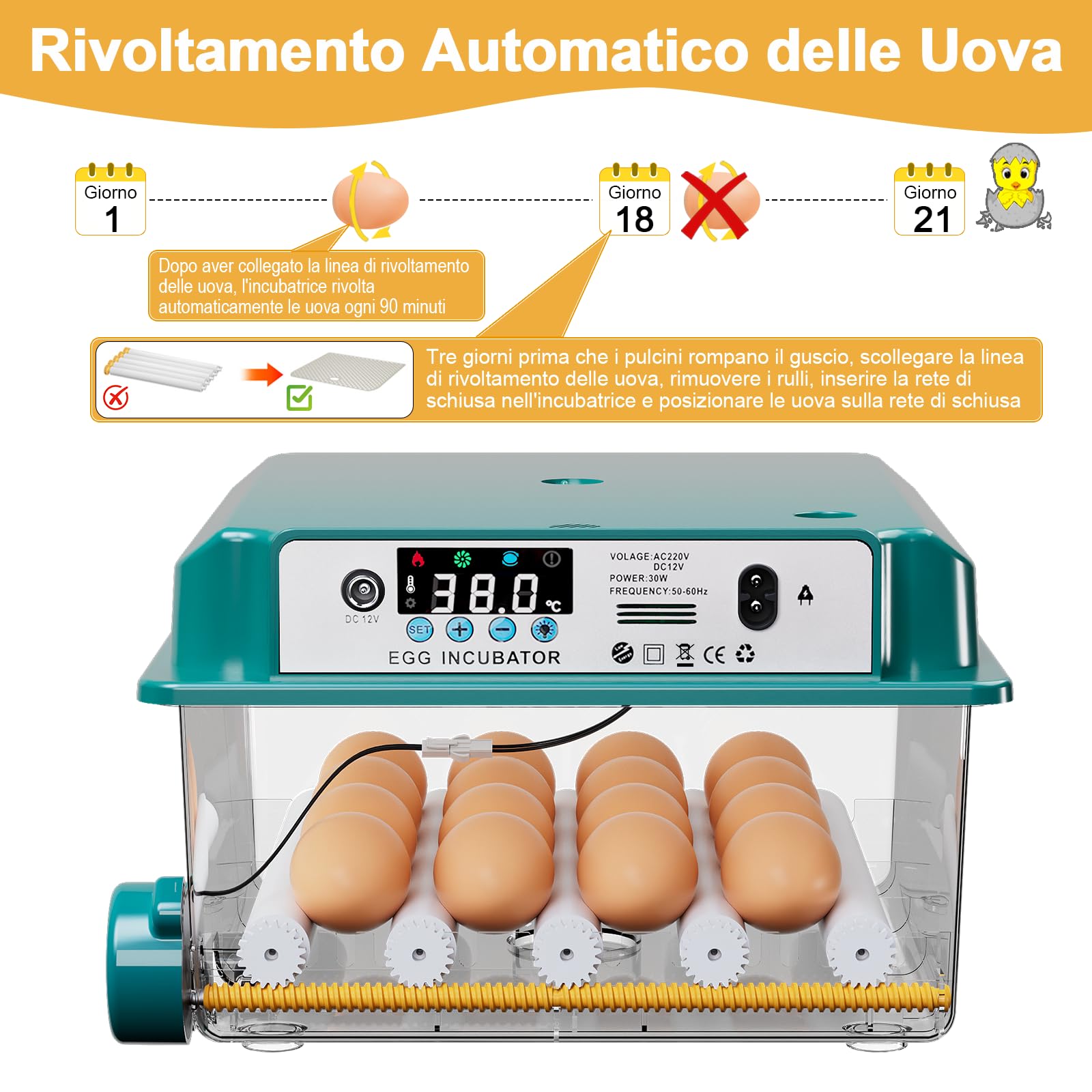 CoInceptus Incubatrice per Uova Automatica, Incubatrice per 12-16 Uova con Rotazione Automatica delle Uova e Aggiunta Automatica dell'acqua, Incubatrice per Uova di Gallina, Quaglia, Anatra